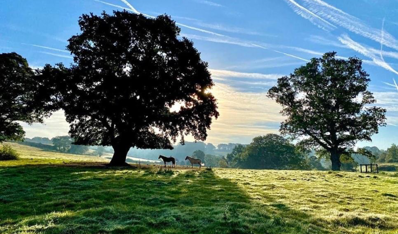 Invitation to join the WCF Alumni Association